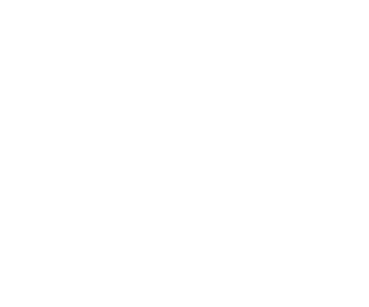 Piirissaar